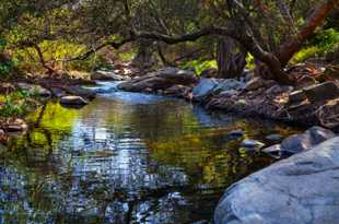 San Marcos Creek-8593.jpg